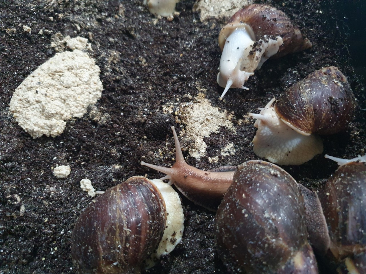 /user/g/gjcil/editor/2410/76ee41a602228c8d3a654722907c571b_1728275646_3244.jpg 이미지크게보기