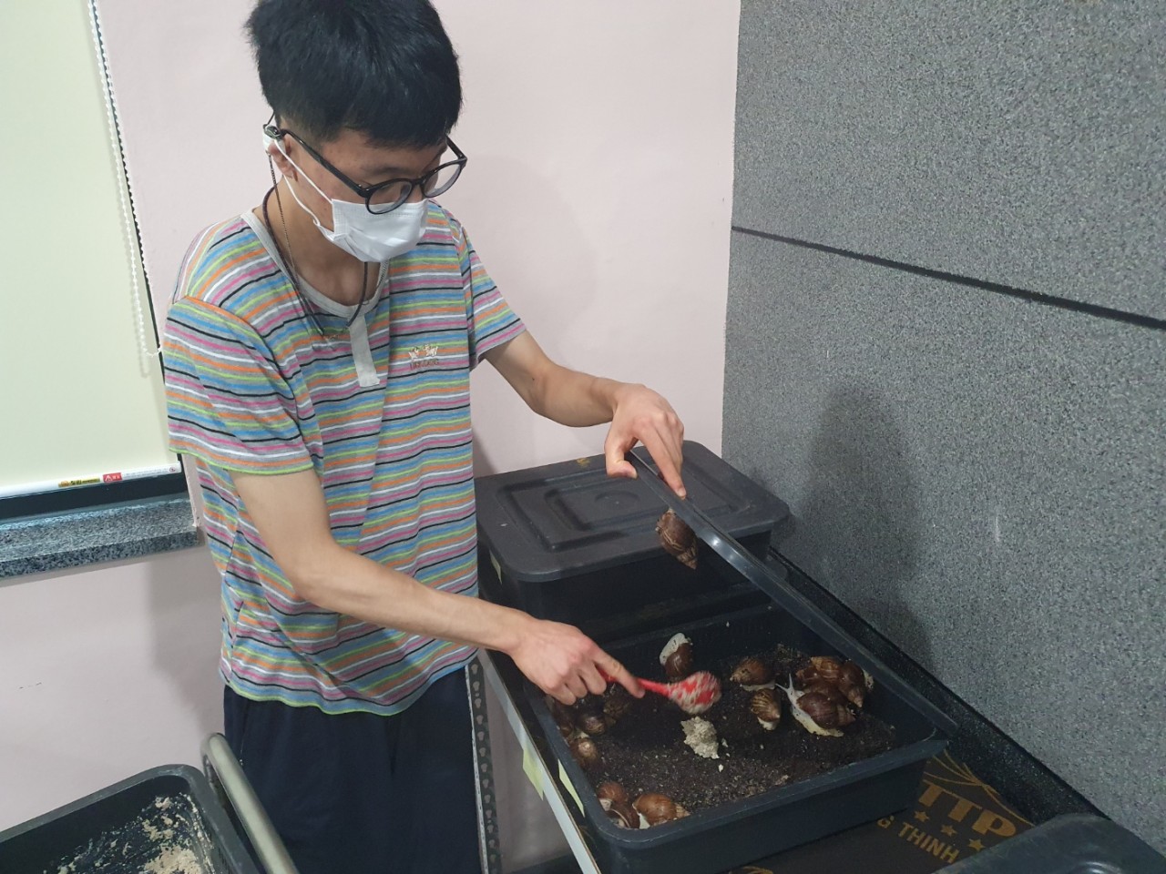 /user/g/gjcil/editor/2410/76ee41a602228c8d3a654722907c571b_1728275646_715.jpg 이미지크게보기