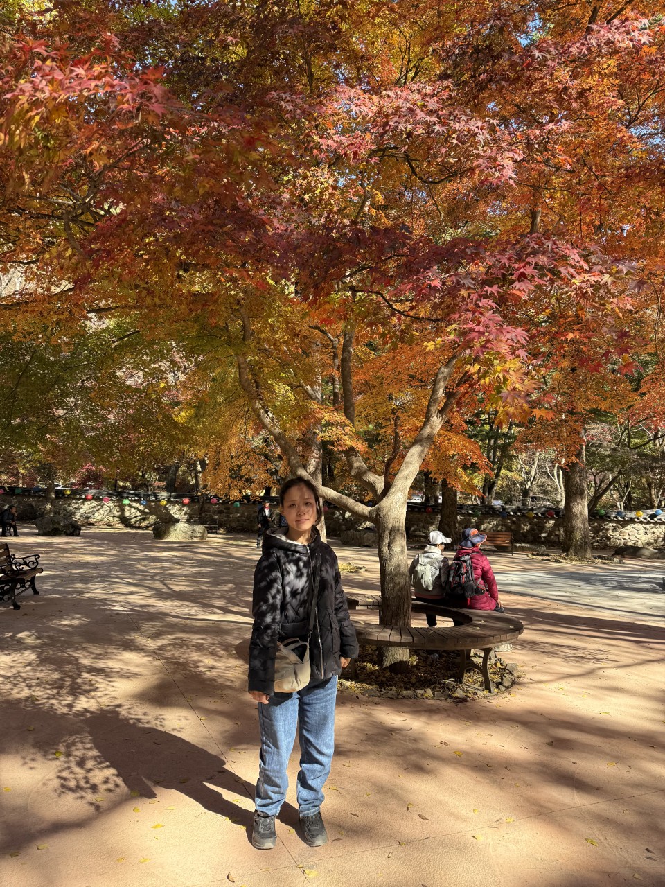 /user/g/gjcil/editor/2512/5d2746d2e6ac6aedfe8a8149bb876229_1765238631_3893.jpg 이미지크게보기