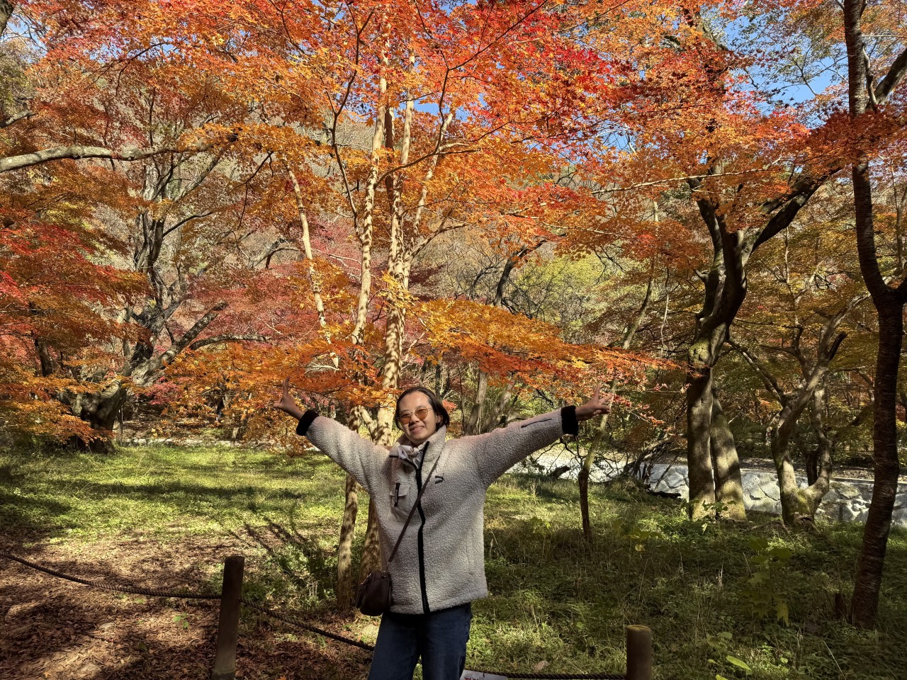 /user/g/gjcil/editor/2512/5d2746d2e6ac6aedfe8a8149bb876229_1765238631_5328.jpg 이미지크게보기