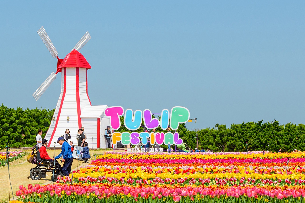 /user/g/gjcil/editor/2604/f5eb1af2643ba7b8a2217aacabf52754_1776819226_1531.jpg 이미지크게보기